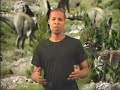 cryptozoology what have you seen?