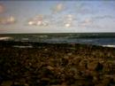 spot bobine bodyboard maroc