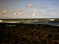 spot bobine bodyboard maroc