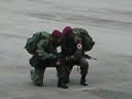 SAF Commandos