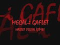 Thumbnail #1