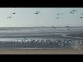 Kitesurfers at Waddell Beach