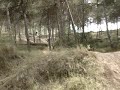 EN EL CIRCUITO EN MURCIA