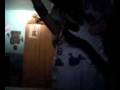 videos de download, tbath, scream.3gp