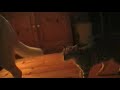abby vs zule (indie)