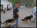 K.E.M. KENNEL CLUB K�PEK E??T?M VE KONAKLAMA MERKEZ?