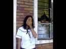 VPHS(wil2)
