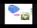Start An Internet Business