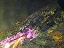 Clarinette pr�s du feu