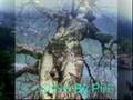 Damar Arabesk B�lent Tu�cu Ben B�ylemiydim B�yle Mi Do�dum