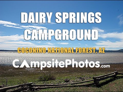 Dairy Springs Campground, Coconino National Forest, Arizona Campsite Photos