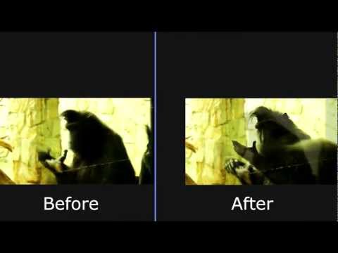 how to adjust gif speed in photoshop