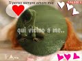 le mie poesie per te..