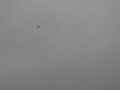 RC focke wulf crash.