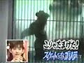 Dancing Silverback Gorilla Dancing Silverback Gorilla