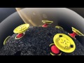 6D Helmet Introduction 
