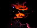 The Hold Steady Live in Memphis at Hi Tone You Can Make Him