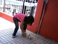 Que no caiga que no toque el suelo xD