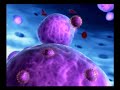 HIV Replication (german version)