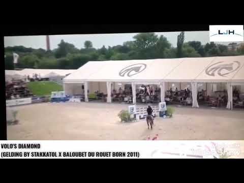 VOLO'S DIAMOND GRAND PRIX JUMP-OFF CSI-W OLOMOUC AUGUST 2020