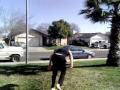 Jordan's Training Sampler -- Just a brief training session i filled.