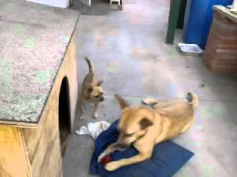 gala bingo gala bingo