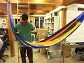 Hammock came DNP