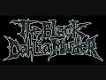 the black dahlia murder miamsa