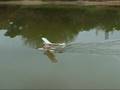 videos de Tony Crollie's Seaplane (2)