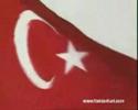 mehmetcik sap suyu safai ağıt şiiri