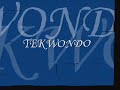 TAEKWONDO ITF