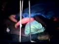 videos de Old Family Movie Camping