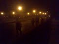 festa fulgor