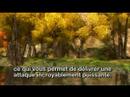 Dev Diary : Les Raids dans LOTRO