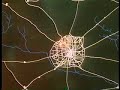 1986 KENS 5 Eyewitness News Intro 1986 KENS 5 Eyewitness News Intro