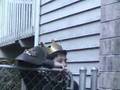 Macbeth Dramedy - Act 5, Scene 8 part 1