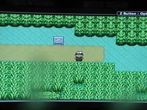 how to level up fast in pokemon emerald