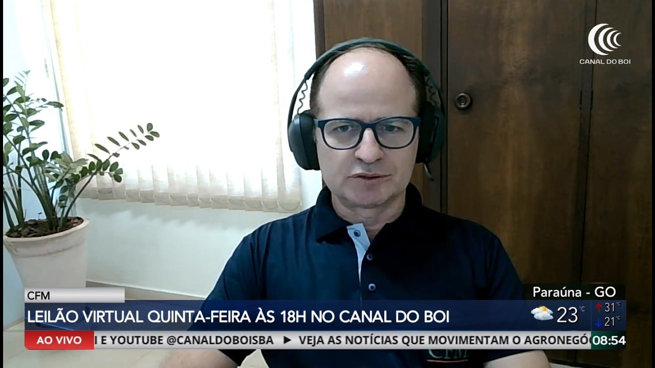 CFM oferta 250 touros Ceip nesta quinta-feira no Canal do Boi