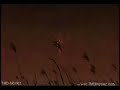 animatrix film score project