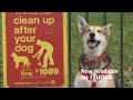Helvetica Trailer