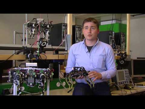 Cheetah-Cub Quadruped Robot Runs Like A Cat