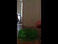 Click here to watch this video Beyblade battles weired