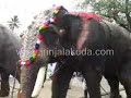 Koodalmanikyam Pallivetta Koodalmanikyam Pallivetta