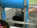 PHYSICAL DOG - MURILO FINAL