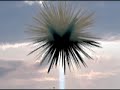 Video Transitions: Adobe Premiere Elements 2.0 Compilation Video Transitions: Adobe Premiere Elements 2.0 Compilation