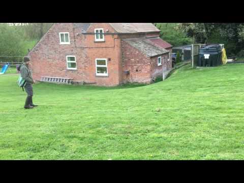 - Fallowfen Training Kennels - Fallowfen Training Kennels