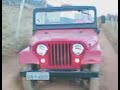 willys na eros�o