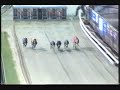 The latest Puppy for dailydogs.co.uk impresses on her debut for Norman Melbourne at Owlerton. Commentary provided by head of the syndicate Haviton, background cameos made by some of the owner giving Misty the roar!
