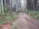 road trip: in search of the nimi\ road trip: in search of the nimi\