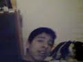 bolixe .. jerry y jepy !